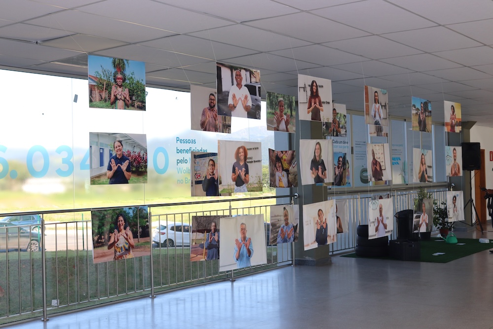 Fotografía de una exposición en Brumadinho con world mosquito program