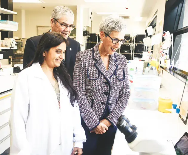 WMP laboratorio