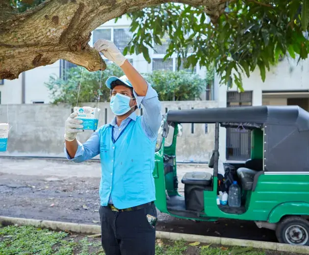 Liberación de huevos