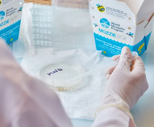 Laboratorio