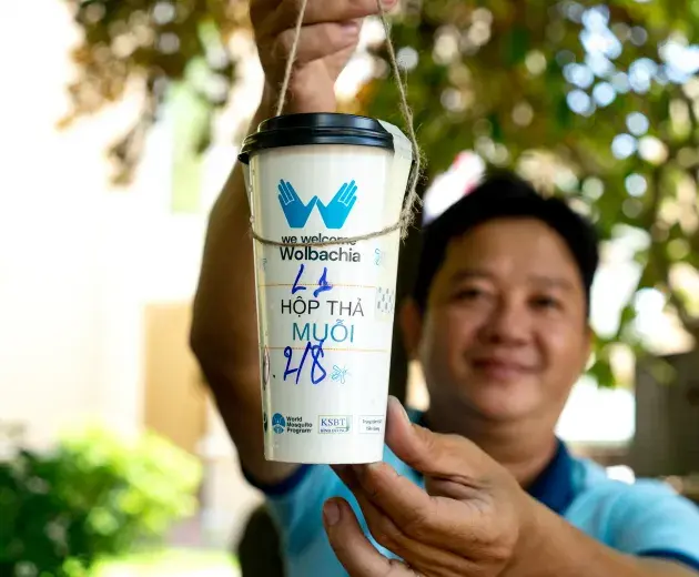 Liberación de mosquitos Wolbachia
