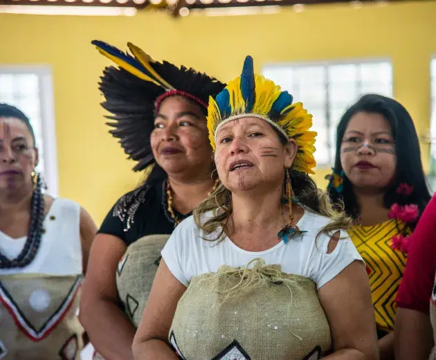 Comunidad indígena _ Brasil