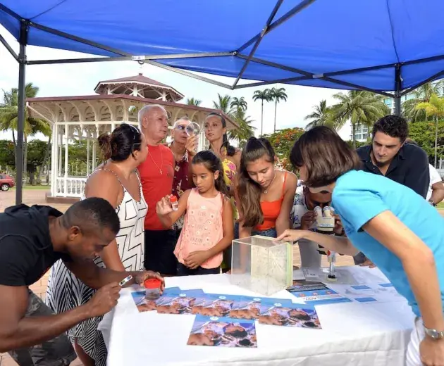 El nuevo personal de Cal_WMP muestra a los residentes locales los mosquitos aedes aegypti y sus larvas