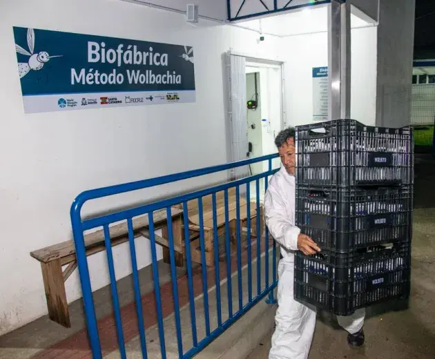 Wolbtio do Brasil voluntario 