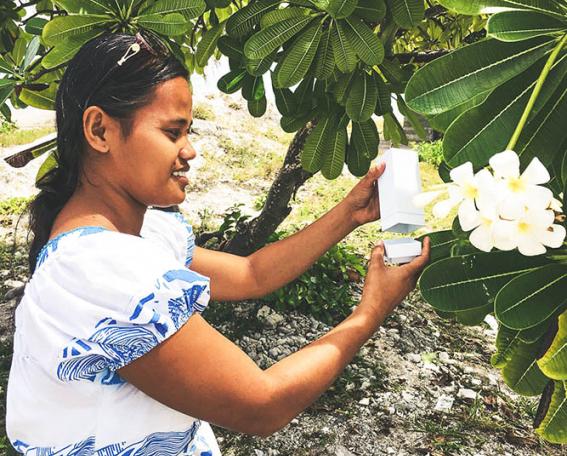 WMP en Kiribati