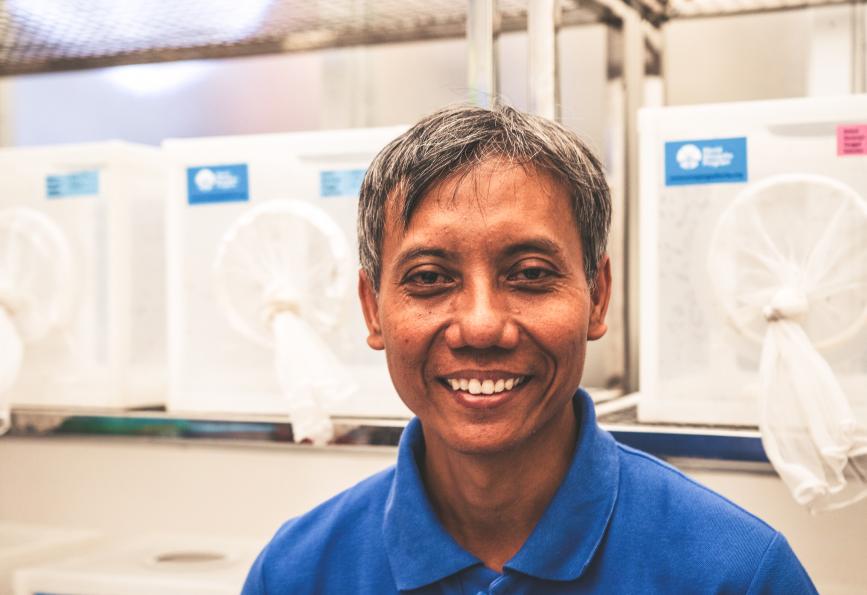 entomólogo de campo