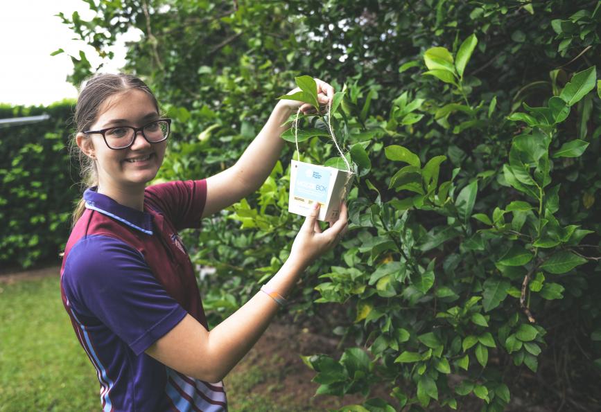 Charlotte - Wolbachia Guerrera