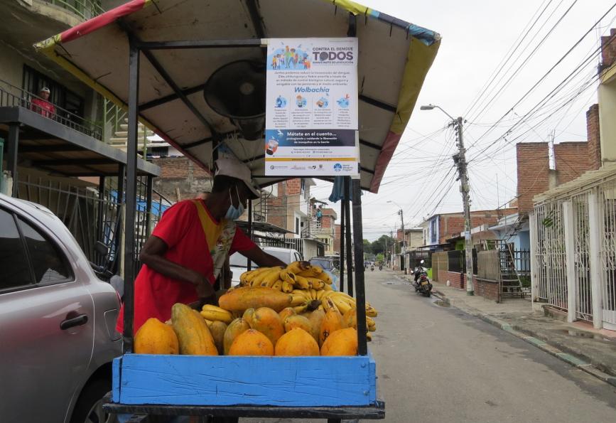 Un vendedor de fruta junto a un cartel sobre Wolbachia en Cali, Colombia