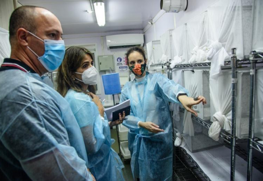 La mujer en la ciencia Brasil