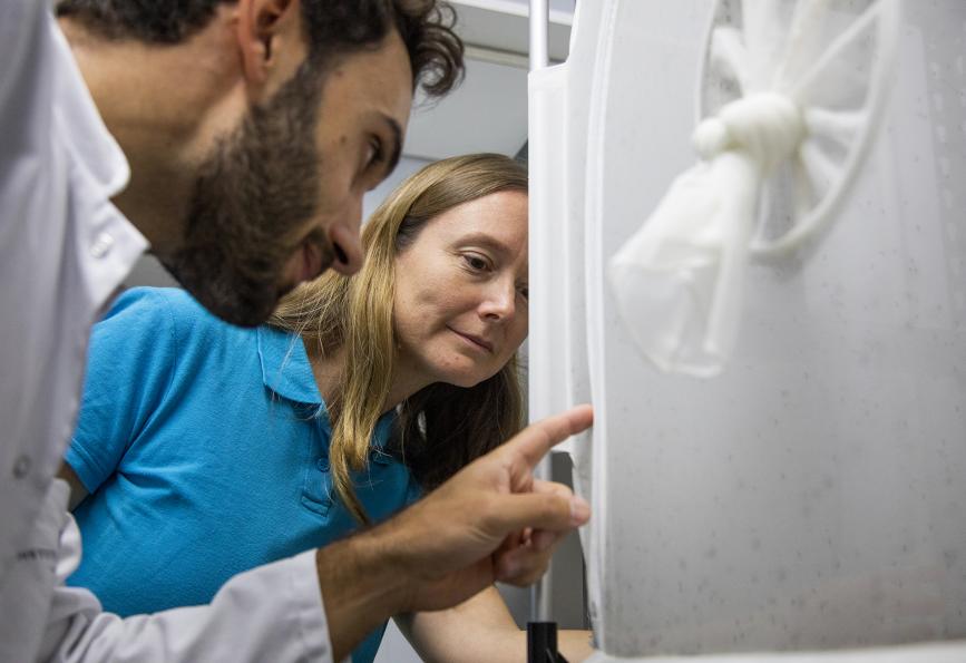 Hugo Bernard, del Instituto Pasteur, y Nadege Rossi, de WMP