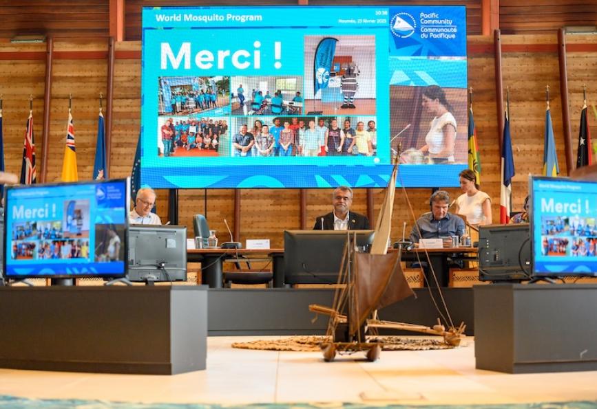 Fotografía de la pantalla de un proyector que muestra "merci" en respuesta a la exitosa implantación de Wolbachia en Nueva Caledonia por parte World Mosquito Program.