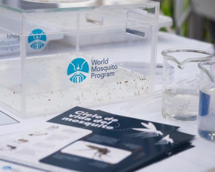 WMP Lanzamiento del evento en El Salvador