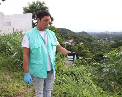 WMP Liberación de mosquitos en Brasil .