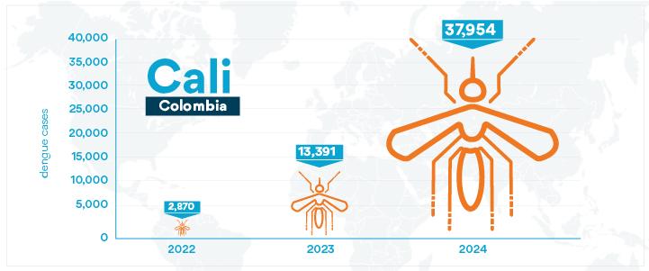 Casos de dengue en Cali